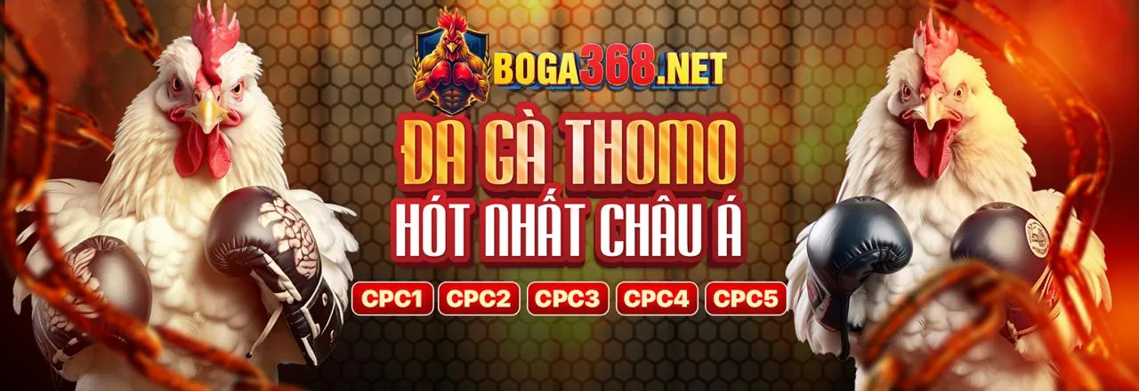 Chuyên gia phân tích đá gà trực tiếp 88