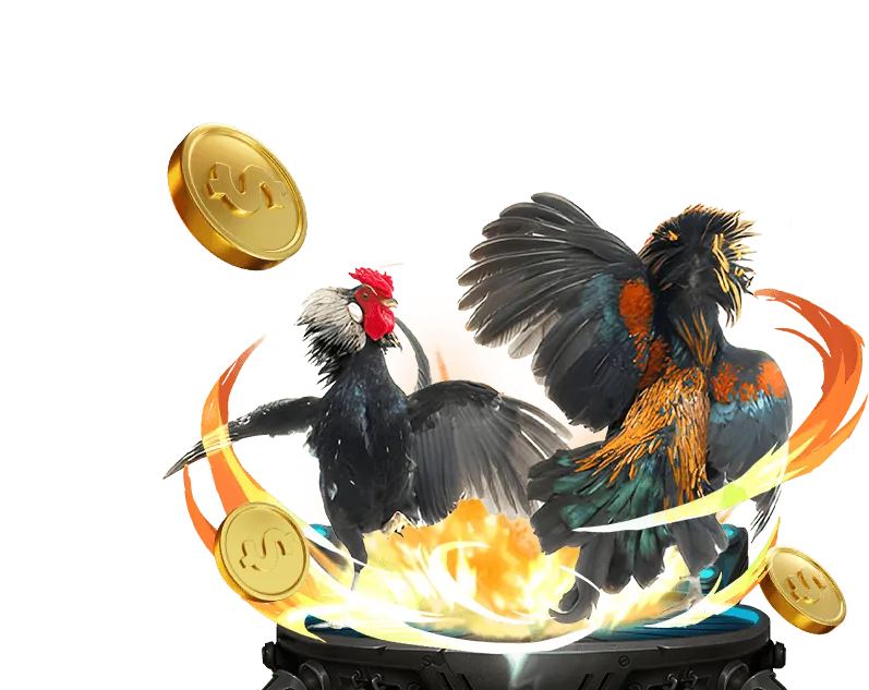 Mẹo cá cược đá gà